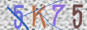 キャプチャ画像