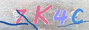 キャプチャ画像