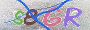 キャプチャ画像